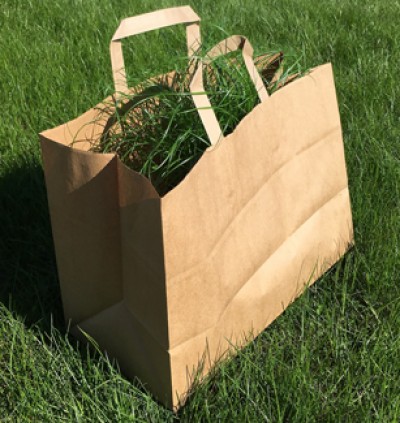 Bolsas de papel o de plástico, ¿Cuál es más ecológica?
