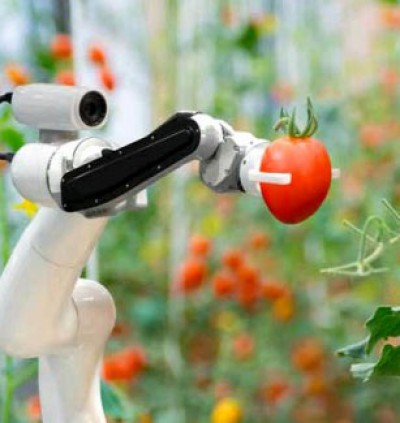 La tecnología de medición permite a la industria alimentaria cumplir con las normas sanitarias