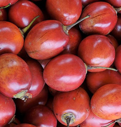 Desarrollan bolsas “antihongos” para conservar mejor la fruta